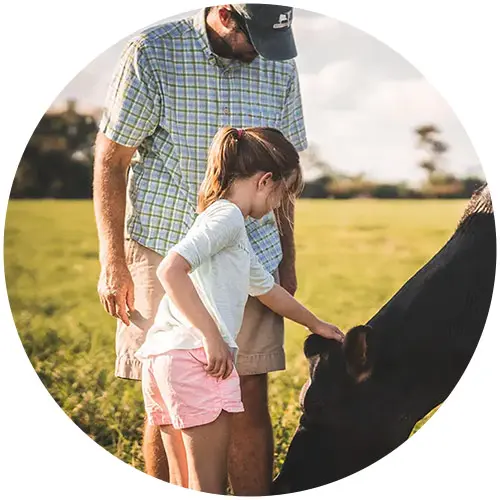 Austin Family Father watching daughter petting cow's head while it's eating grass.