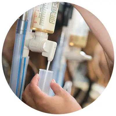 Milk Sample Milk Sample