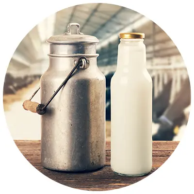 Milk Milk Glass